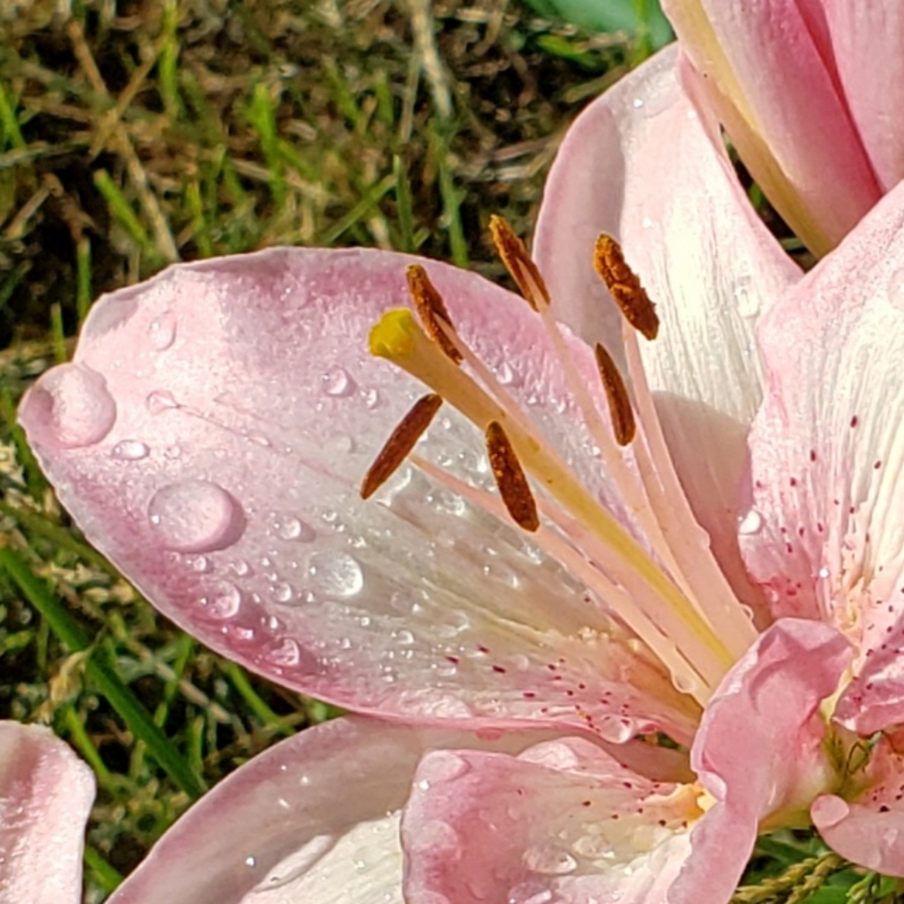Springtime will be here soon